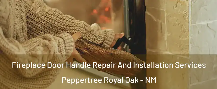 Fireplace Door Handle Repair And Installation Services Peppertree Royal Oak - NM