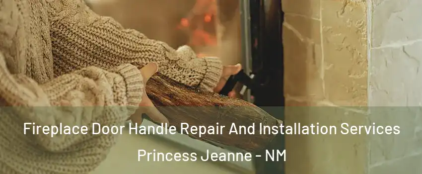 Fireplace Door Handle Repair And Installation Services Princess Jeanne - NM