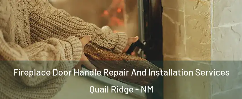 Fireplace Door Handle Repair And Installation Services Quail Ridge - NM