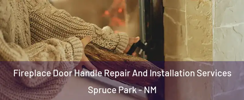 Fireplace Door Handle Repair And Installation Services Spruce Park - NM