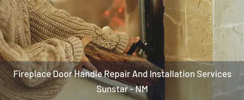 Fireplace Door Handle Repair And Installation Services Sunstar - NM