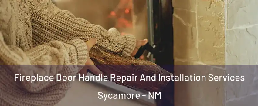 Fireplace Door Handle Repair And Installation Services Sycamore - NM