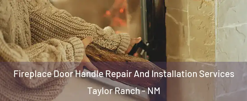 Fireplace Door Handle Repair And Installation Services Taylor Ranch - NM