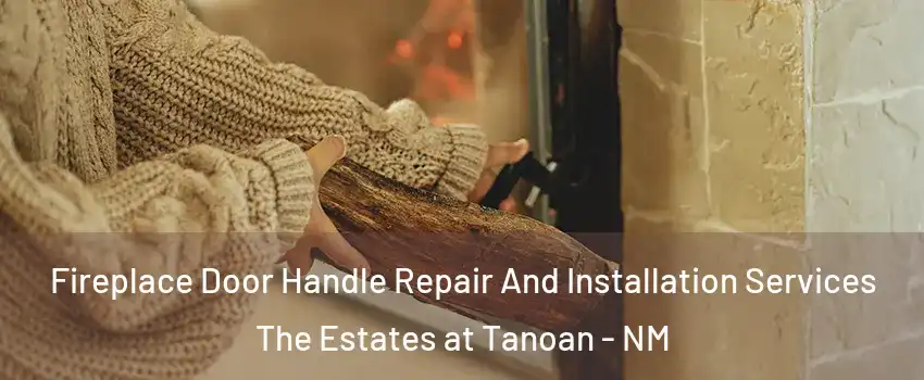Fireplace Door Handle Repair And Installation Services The Estates at Tanoan - NM