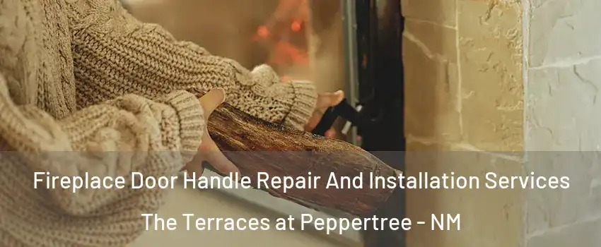 Fireplace Door Handle Repair And Installation Services The Terraces at Peppertree - NM