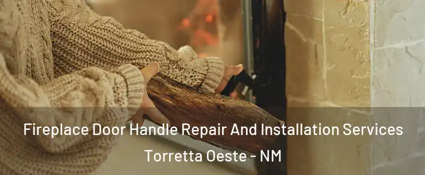 Fireplace Door Handle Repair And Installation Services Torretta Oeste - NM