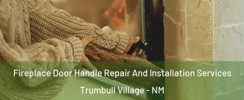 Fireplace Door Handle Repair And Installation Services Trumbull Village - NM