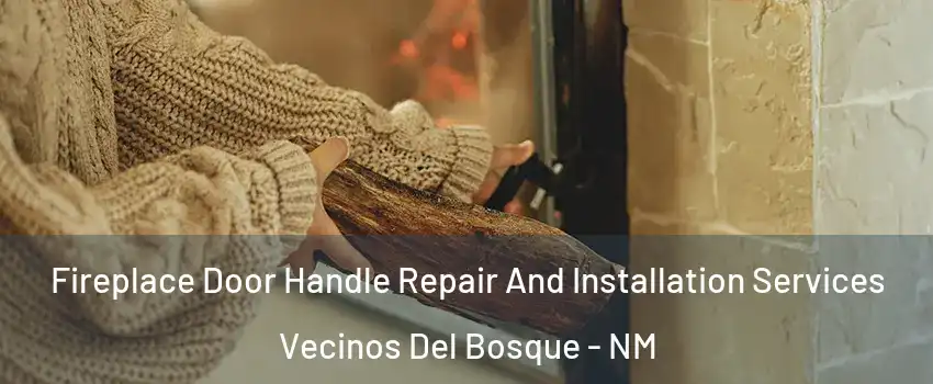 Fireplace Door Handle Repair And Installation Services Vecinos Del Bosque - NM