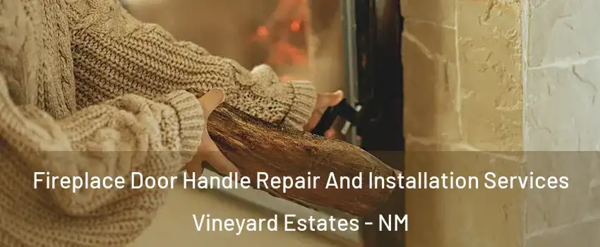 Fireplace Door Handle Repair And Installation Services Vineyard Estates - NM
