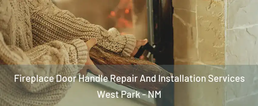 Fireplace Door Handle Repair And Installation Services West Park - NM