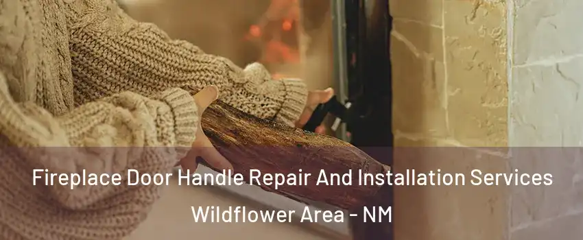 Fireplace Door Handle Repair And Installation Services Wildflower Area - NM