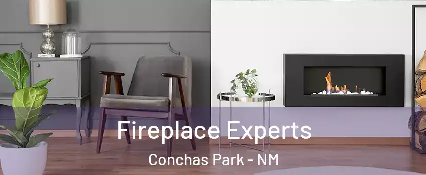 Fireplace Experts Conchas Park - NM