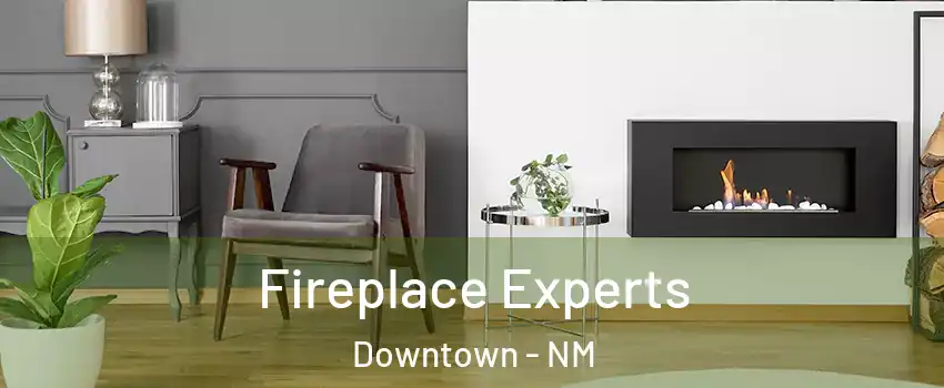 Fireplace Experts Downtown - NM