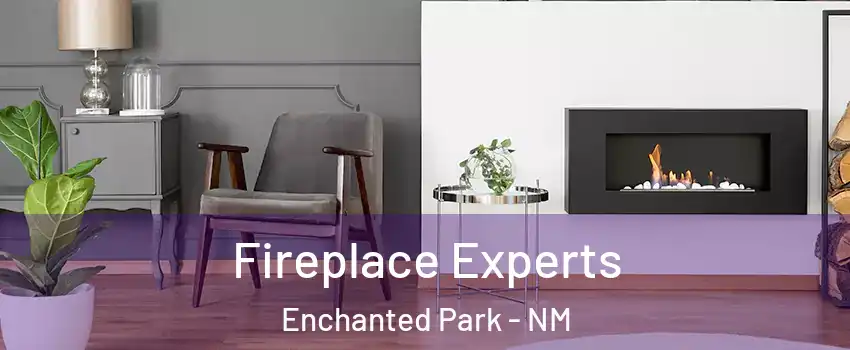 Fireplace Experts Enchanted Park - NM