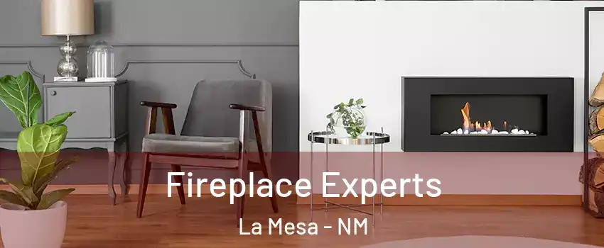 Fireplace Experts La Mesa - NM