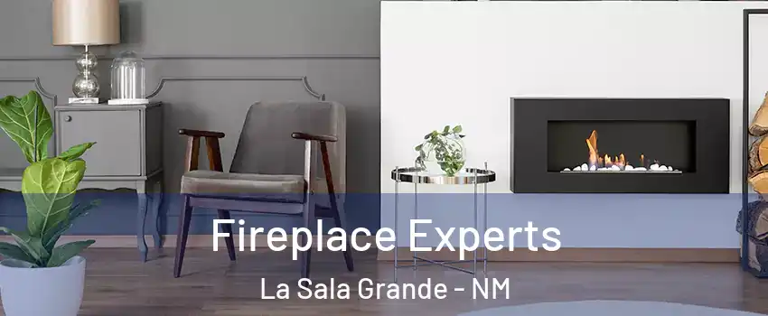 Fireplace Experts La Sala Grande - NM