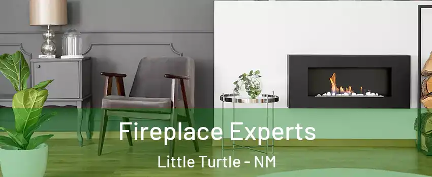 Fireplace Experts Little Turtle - NM