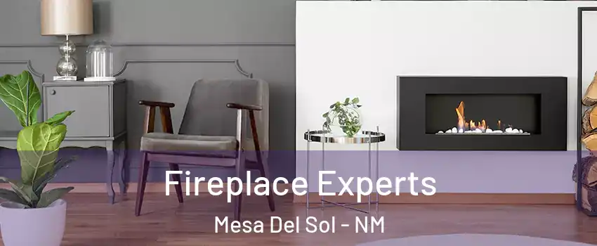 Fireplace Experts Mesa Del Sol - NM