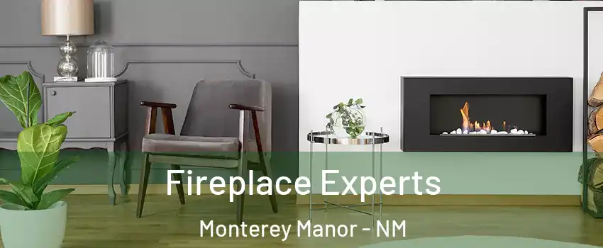 Fireplace Experts Monterey Manor - NM