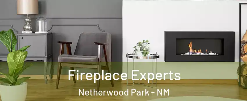 Fireplace Experts Netherwood Park - NM