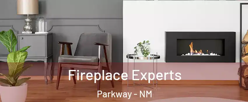 Fireplace Experts Parkway - NM