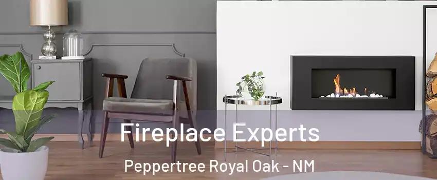 Fireplace Experts Peppertree Royal Oak - NM