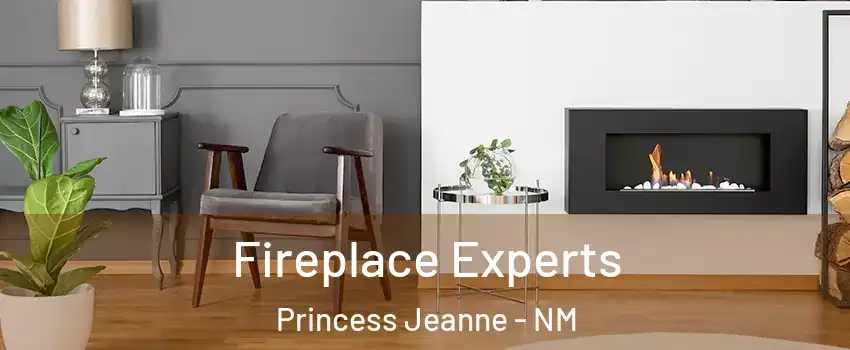 Fireplace Experts Princess Jeanne - NM