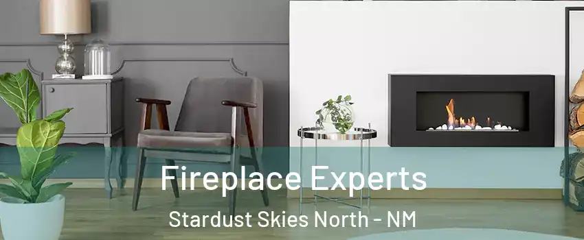 Fireplace Experts Stardust Skies North - NM