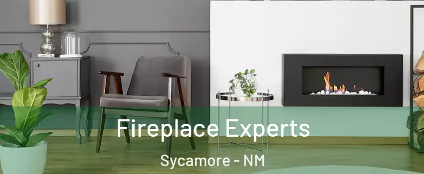 Fireplace Experts Sycamore - NM