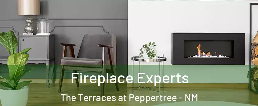 Fireplace Experts The Terraces at Peppertree - NM