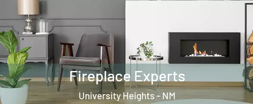 Fireplace Experts University Heights - NM