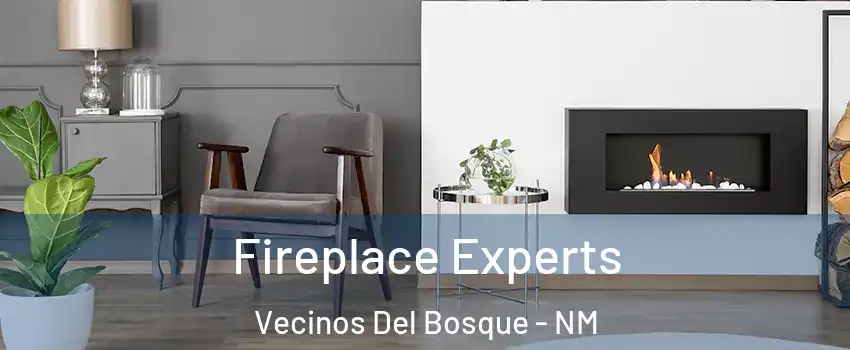 Fireplace Experts Vecinos Del Bosque - NM