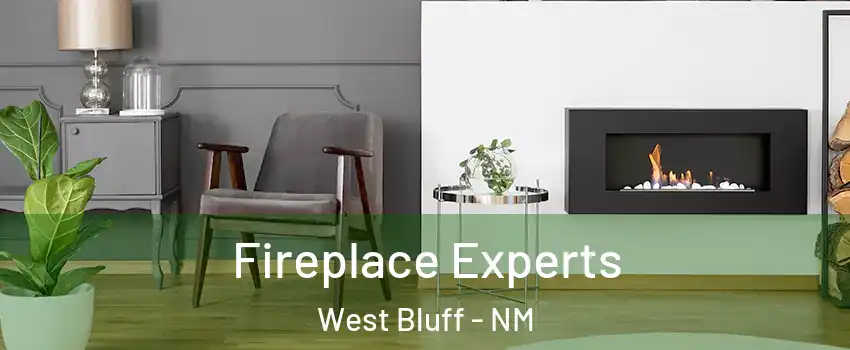 Fireplace Experts West Bluff - NM