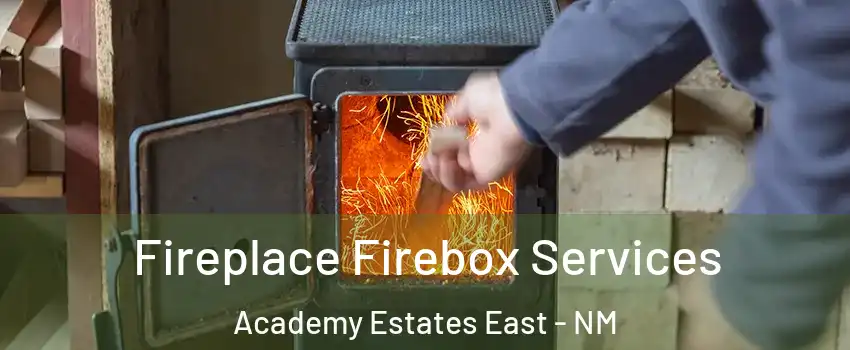 Fireplace Firebox Services Academy Estates East - NM