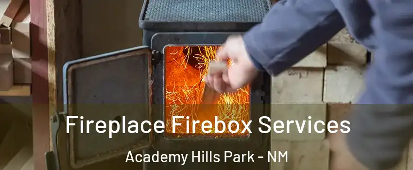 Fireplace Firebox Services Academy Hills Park - NM