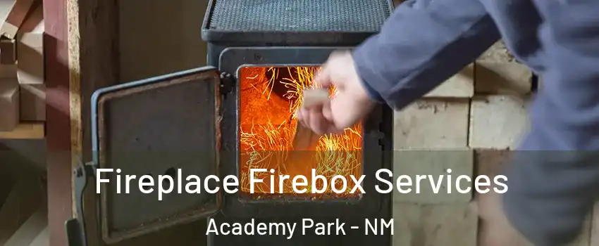 Fireplace Firebox Services Academy Park - NM