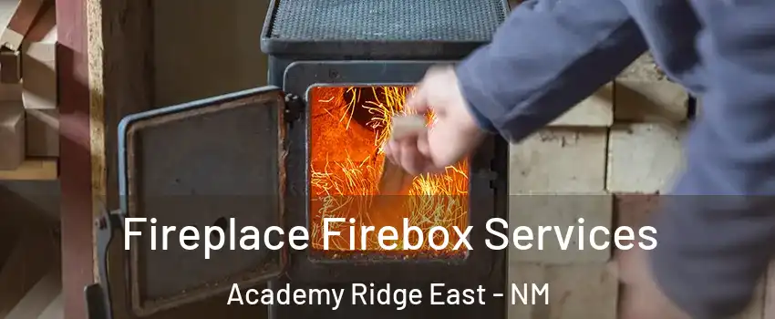Fireplace Firebox Services Academy Ridge East - NM