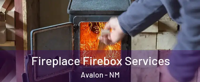 Fireplace Firebox Services Avalon - NM