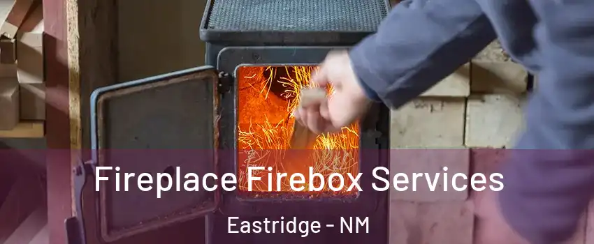 Fireplace Firebox Services Eastridge - NM
