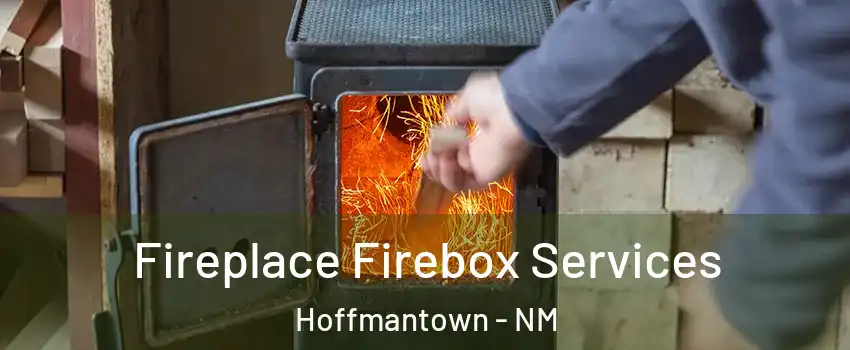 Fireplace Firebox Services Hoffmantown - NM