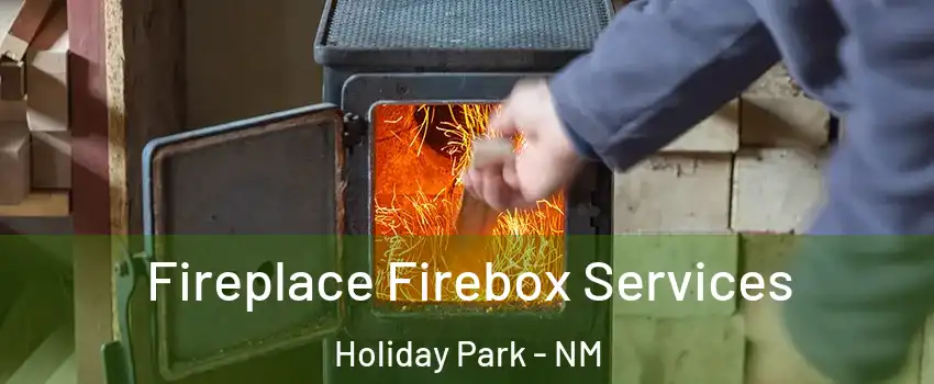 Fireplace Firebox Services Holiday Park - NM