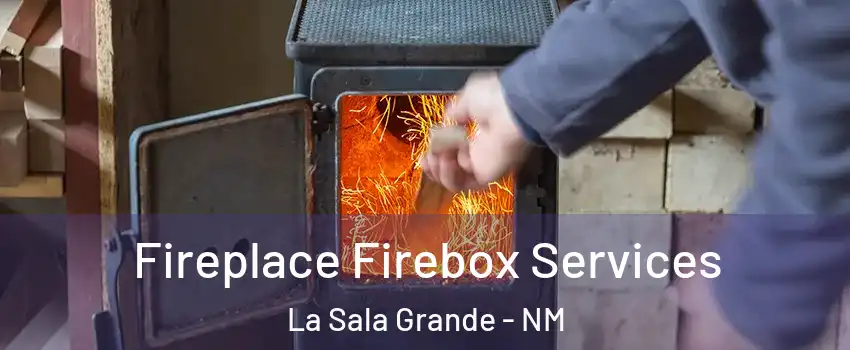 Fireplace Firebox Services La Sala Grande - NM
