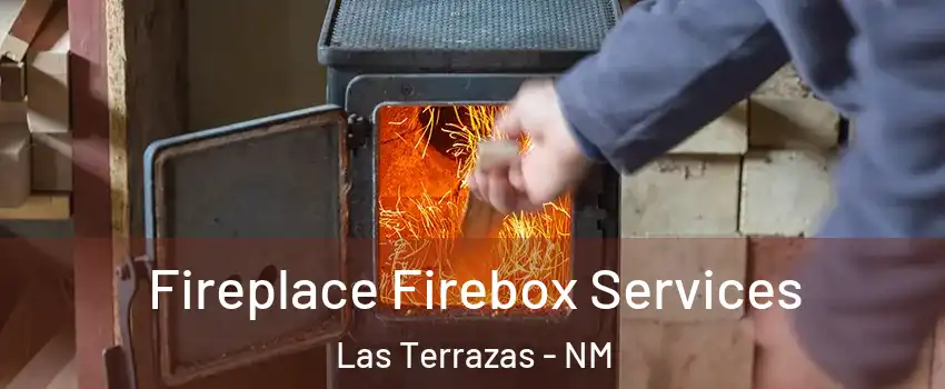 Fireplace Firebox Services Las Terrazas - NM