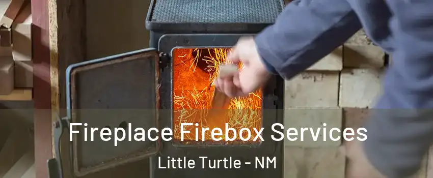 Fireplace Firebox Services Little Turtle - NM