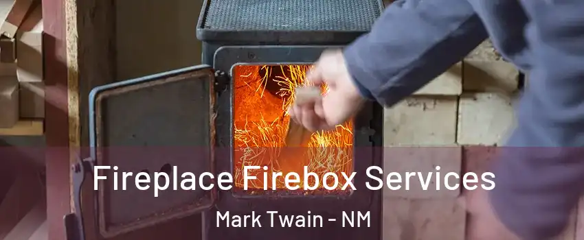 Fireplace Firebox Services Mark Twain - NM
