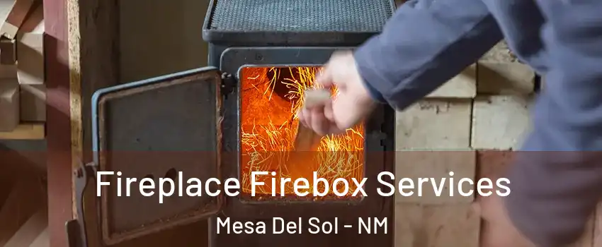 Fireplace Firebox Services Mesa Del Sol - NM
