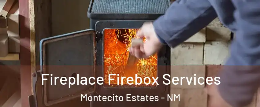 Fireplace Firebox Services Montecito Estates - NM