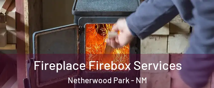Fireplace Firebox Services Netherwood Park - NM