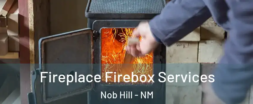 Fireplace Firebox Services Nob Hill - NM