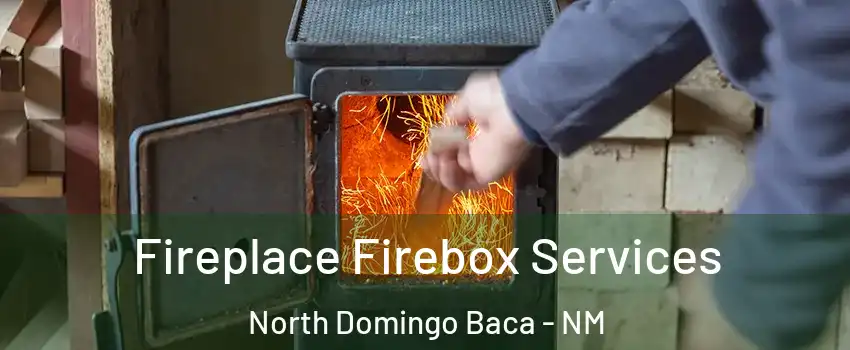 Fireplace Firebox Services North Domingo Baca - NM